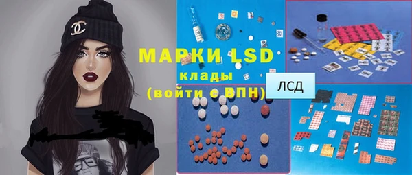 спайс Баксан