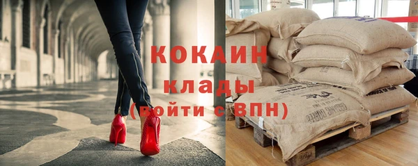 спайс Баксан