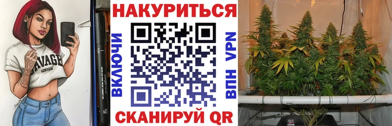 Купить  Гуково  Каннабис планчик 
